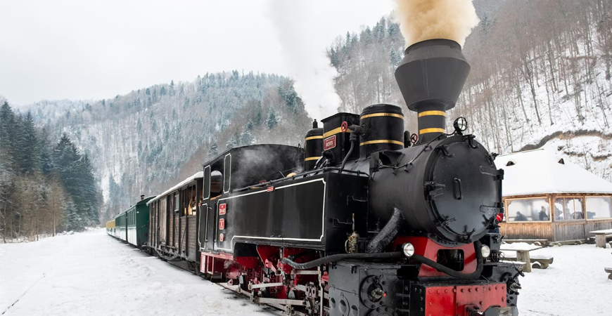 Obiective Turistice Maramures